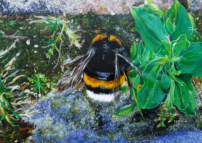 Expositie van Laura Verkoelen